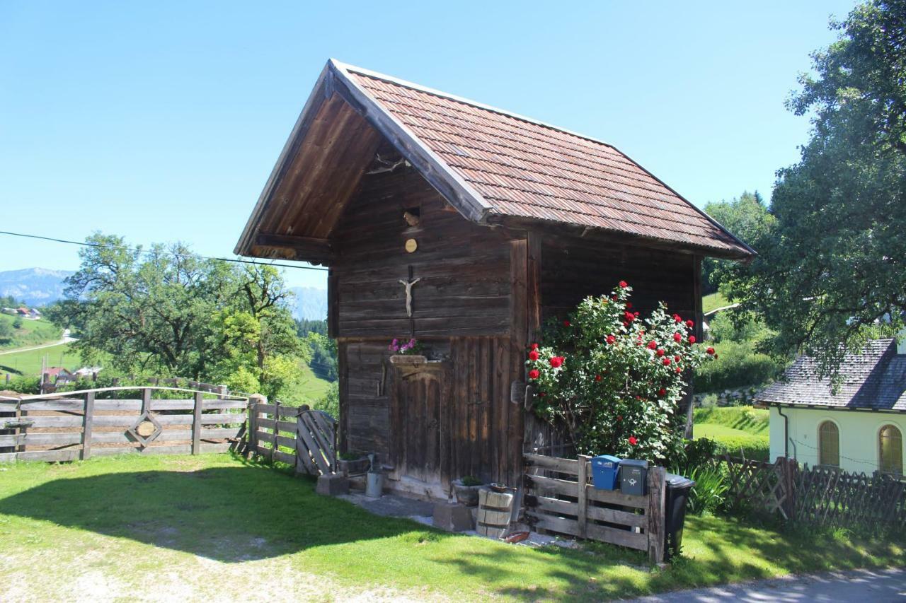 Villa Lutzmannhof à Irdning Extérieur photo